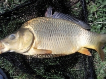 Photo0007