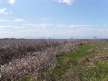 IMGP0327