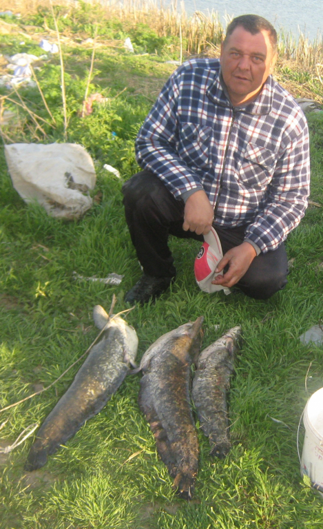 Picture 029
