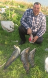 Picture 029