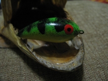 IMG 0059