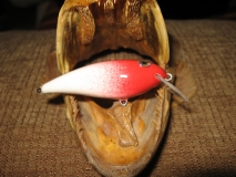 IMG 0053