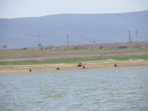 IMG 0969