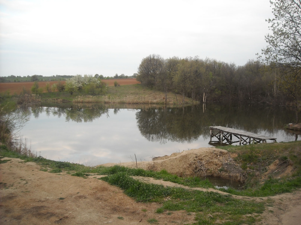 Picture 018