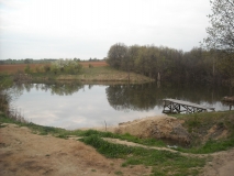 Picture 018