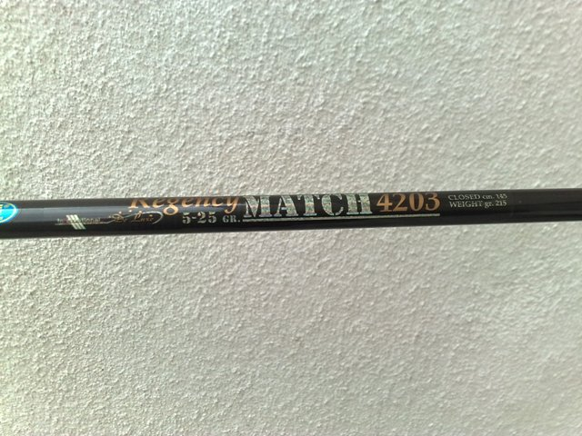 200420111096