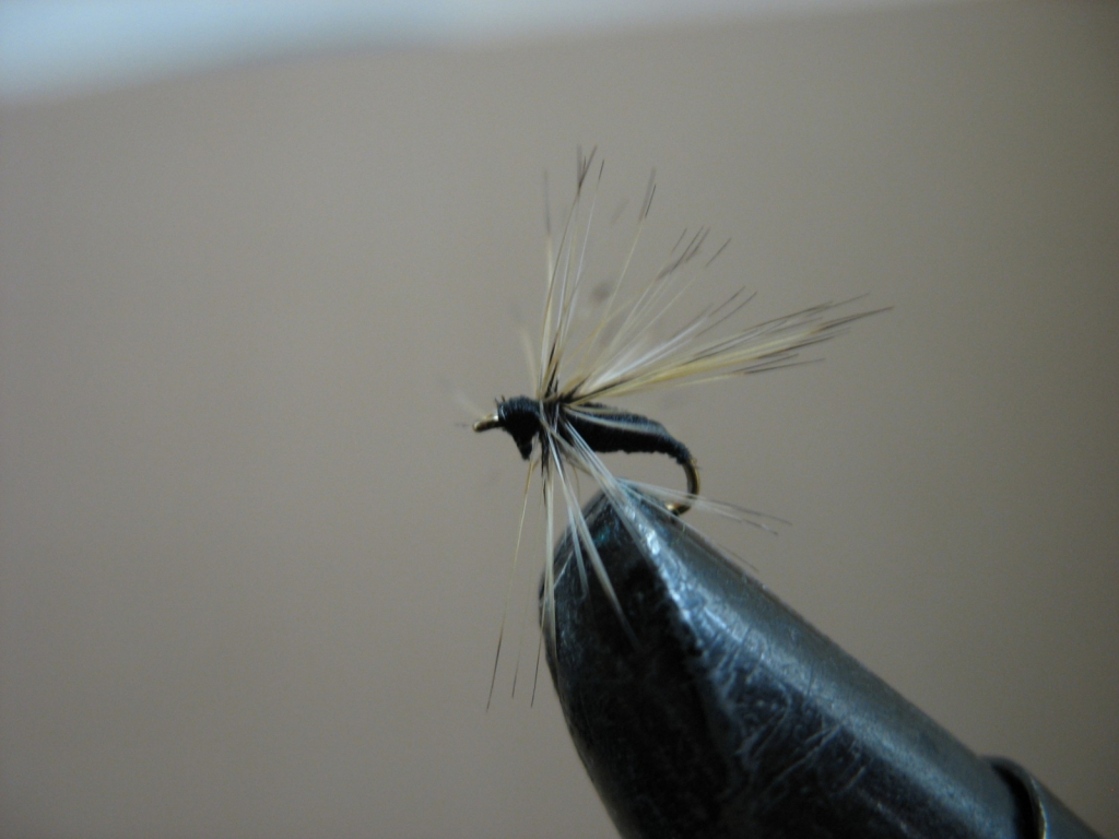 Fly UKLEI 01
