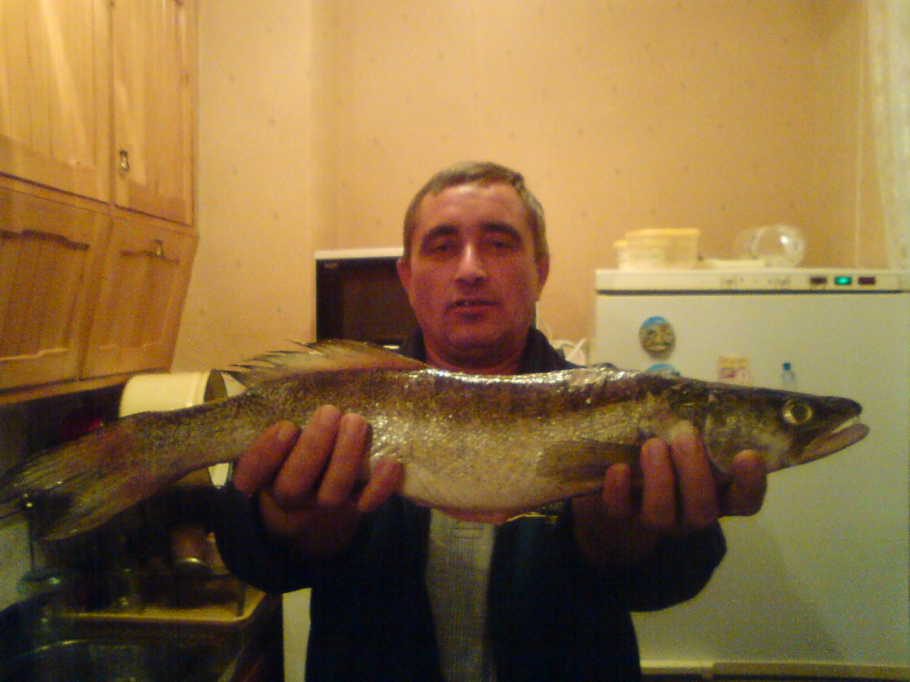 DSC00059