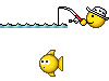 :fishing12: :fishing12: