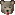 A Bear :bear: