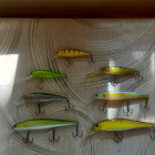 Pointer  и  rapala 