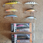 Воблери пъстърва, клен, костур, ареа