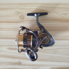 Daiwa theory 2004