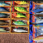 Най-големите ратлини