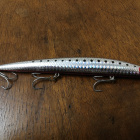 Daiwa shore line shiner sl 145f