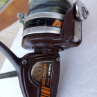 Goldstar 4300
