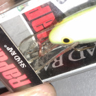 Rapala shad rap sr-7 