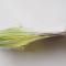 Megabass- DARK SLEEPER - 1 oz.- Clear chart -Bottom Bait