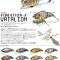 Megabass-  Vibration X- Vatalion -SF - Slow Floating - БАВНО ИЗПЛУВАЩ