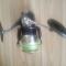 Daiwa Certate 3500HD.