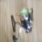 Daiwa Certate 3500HD.