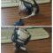 Daiwa 10 Certate 2500 + Customs