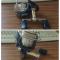 Daiwa 10 Certate 2500 + Customs