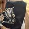 DAIWA 20 LUVIAS FC LT 2500S-XH.