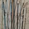 Въдици Липно 280 и 260 см
