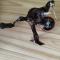 Shimano Soare CI4+ C2000SSPG.