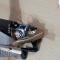 Globe CI 200