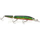 PowerCatcher Tailwacker 120