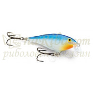 Shallow Shad Rap