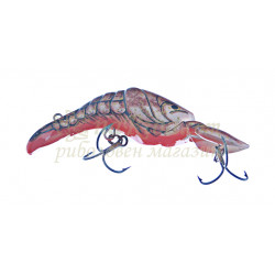 Thunder Craw