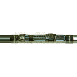 Miral Bolo