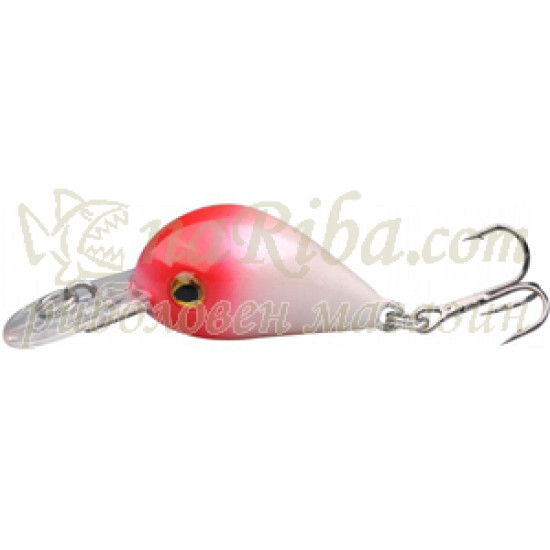 Trout Master Punto