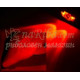 Cool White LED Head Lamp SPHL150RU