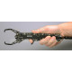 Fish Gripper 24cm